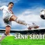 gioi-thieu-sbobet-hi88.jpg