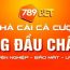 Giới thiệu về 789bet